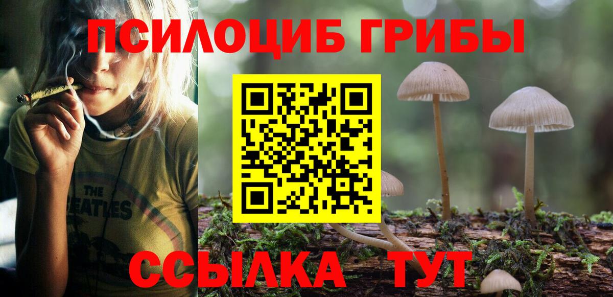 Галлюциногенные грибы ЛСД Ленинск-Кузнецкий