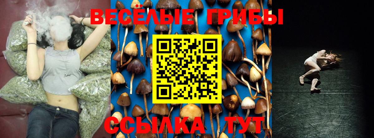 купить наркотики сайты  Галлюциногенные грибы Psilocybine cubensis  Вход с VPN  Ленинск-Кузнецкий 